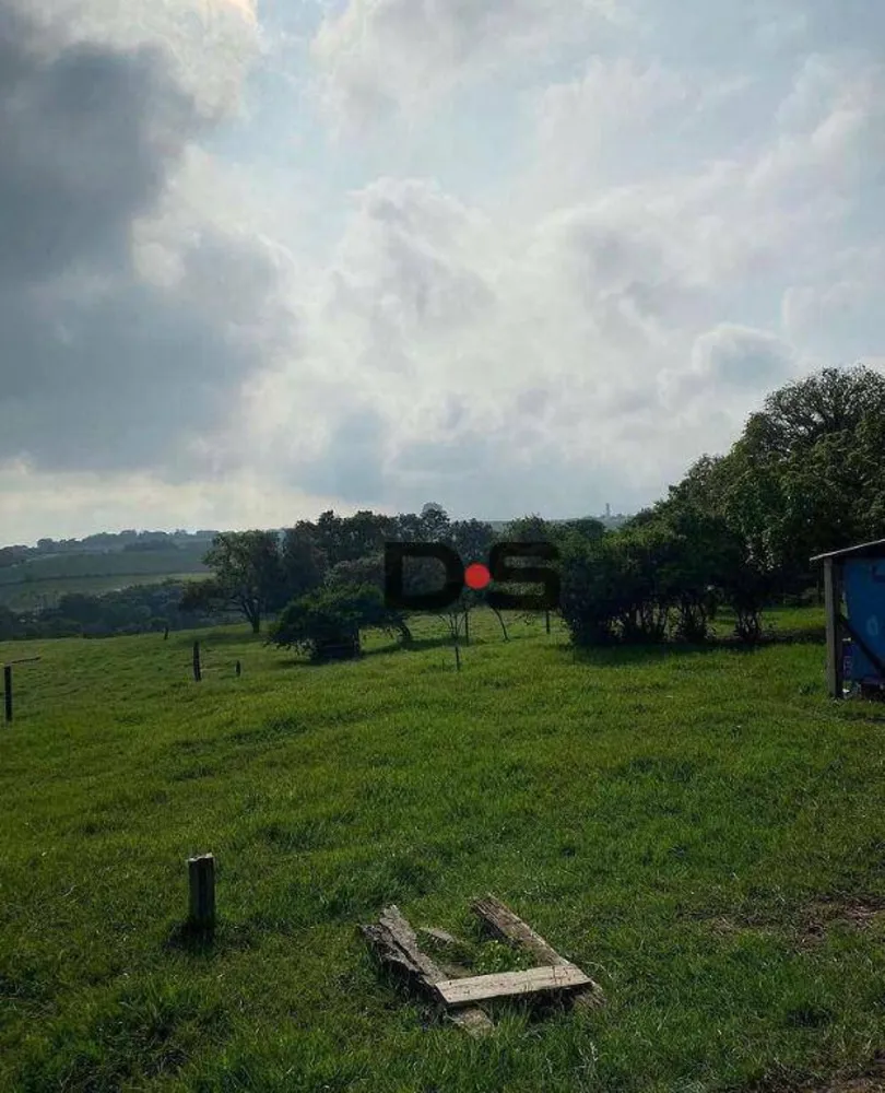 Terreno, 4 hectares - Foto 3