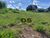 Terreno, 338 m² - Foto 2