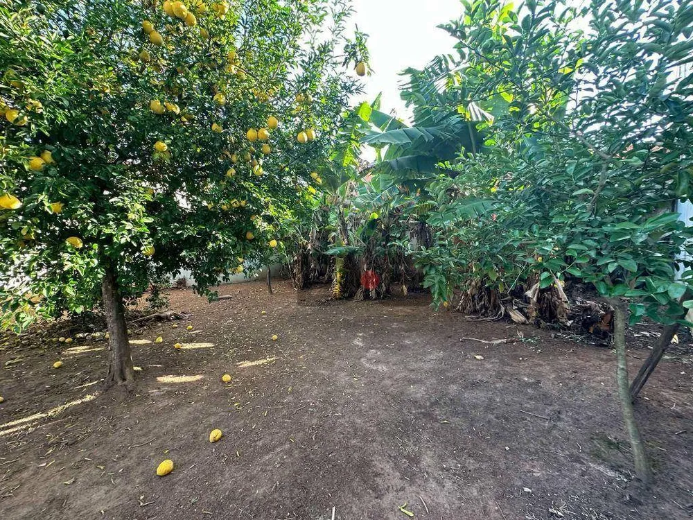 Terreno, 283 m² - Foto 3
