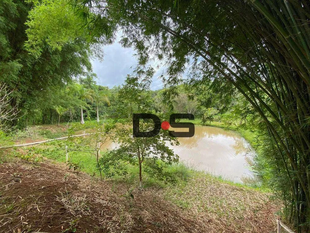 Sítio, 5 quartos, 3 hectares - Foto 7