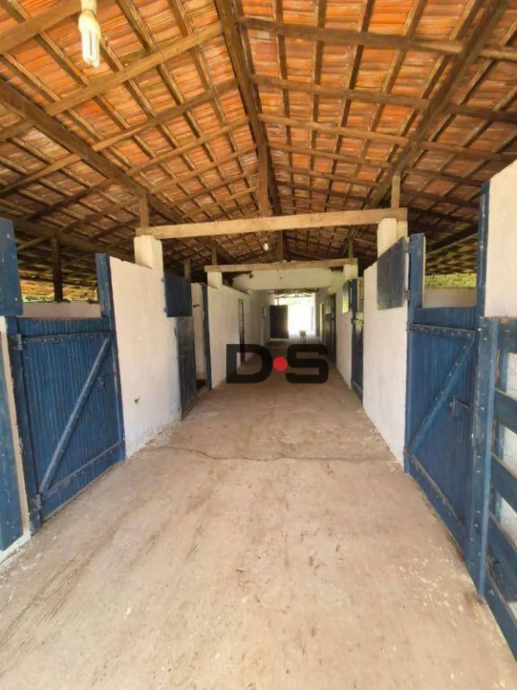 Sítio, 6 quartos, 29 hectares - Foto 1