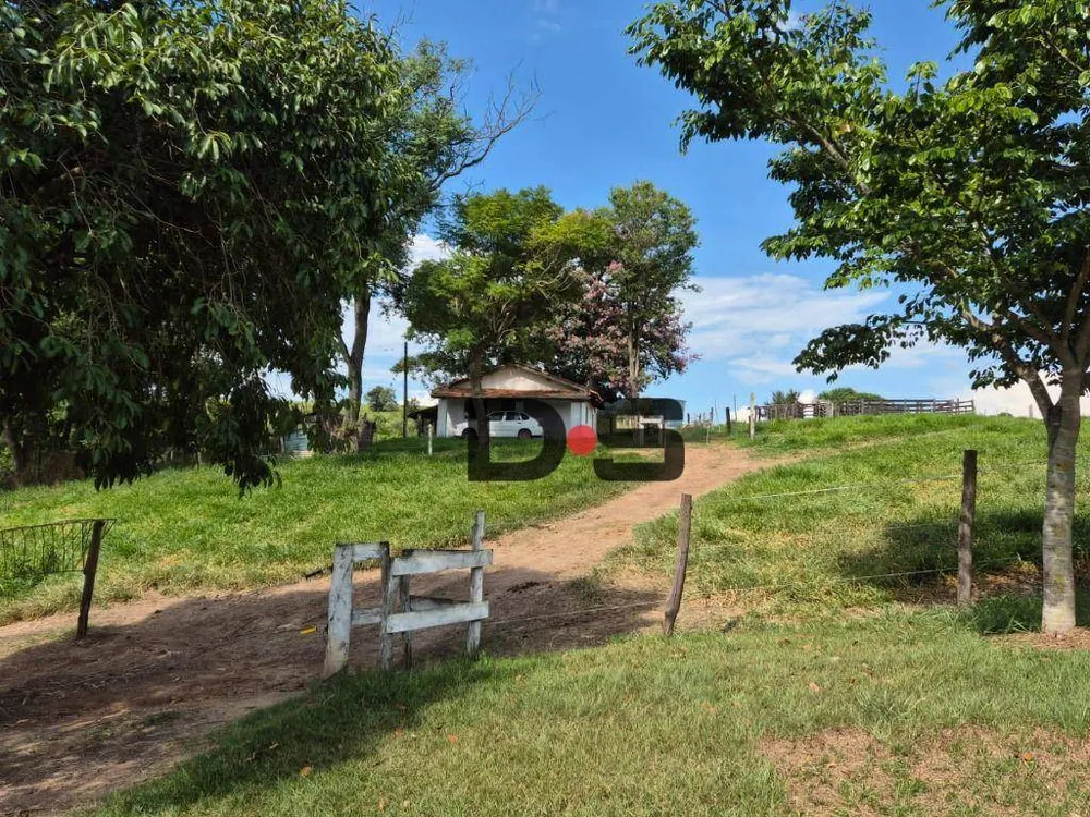 Sítio, 6 quartos, 29 hectares - Foto 11