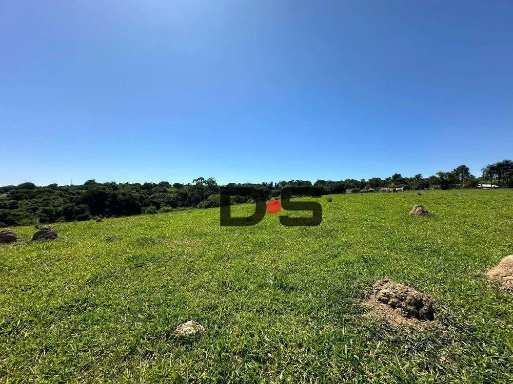Terreno, 6 hectares - Foto 6