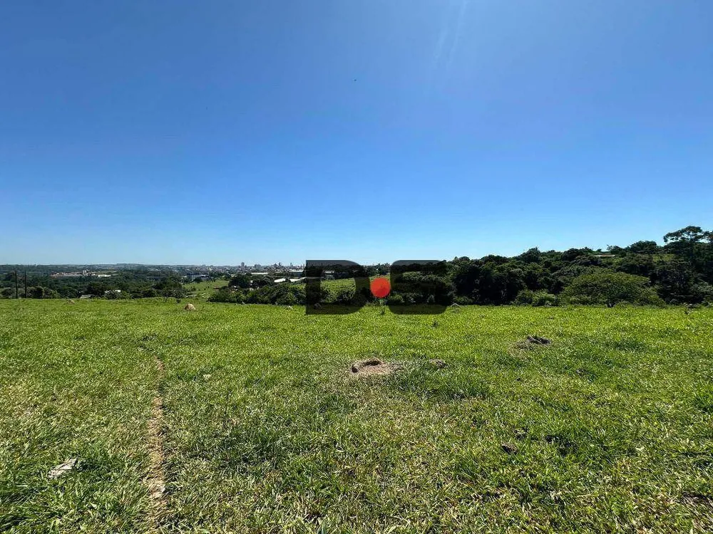 Terreno, 6 hectares - Foto 4
