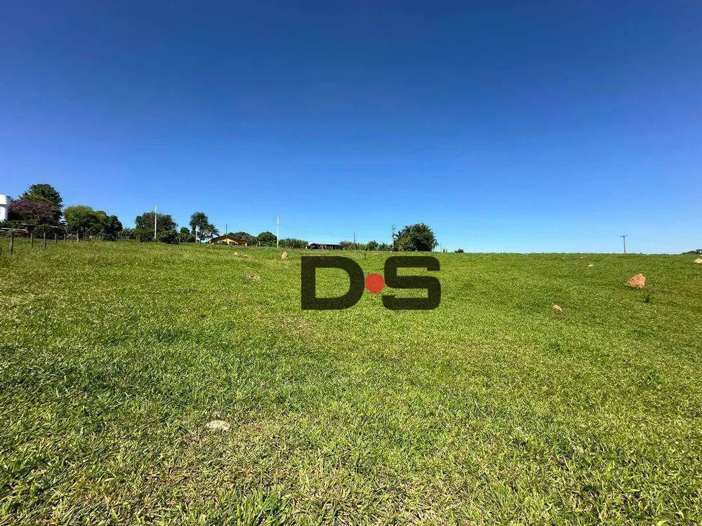 Terreno, 6 hectares - Foto 7