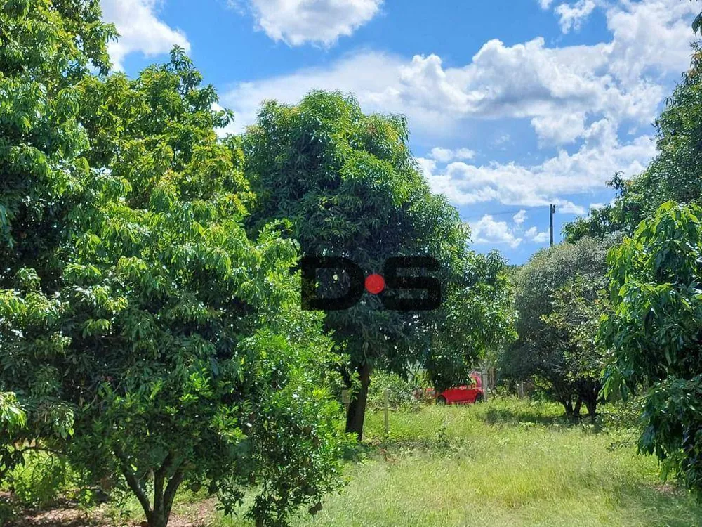 Chácara, 1 quarto, 1000 m² - Foto 3