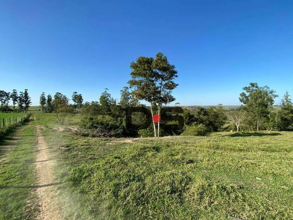 Sítio, 30 hectares - Foto 6