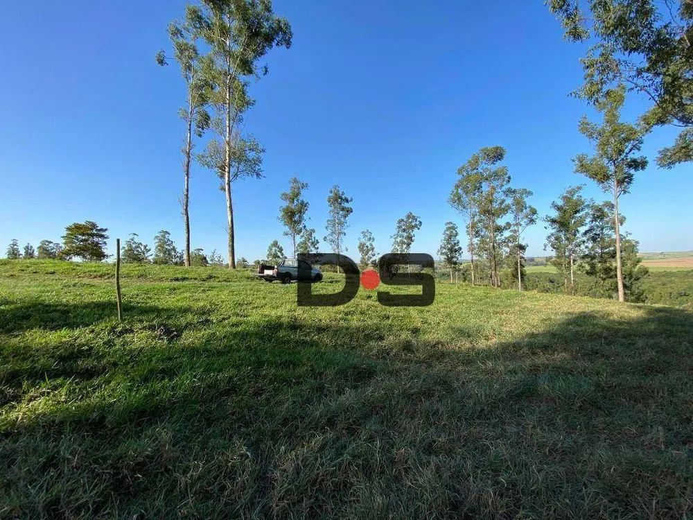 Sítio, 30 hectares - Foto 8