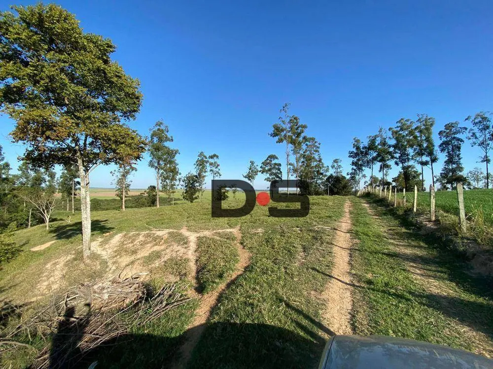 Sítio, 30 hectares - Foto 6