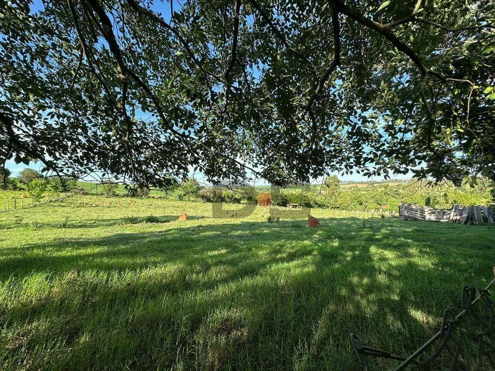 Sítio, 1 quarto, 7000 m² - Foto 3