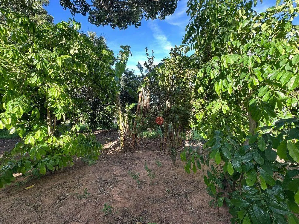 Sítio, 1 quarto, 7000 m² - Foto 8