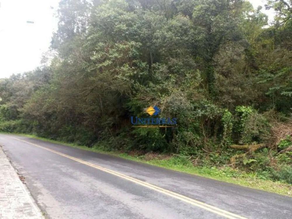 Terreno, 2 hectares - Foto 7