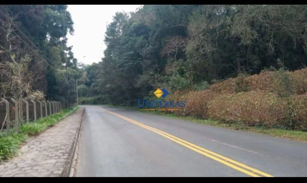 Terreno, 2 hectares - Foto 6
