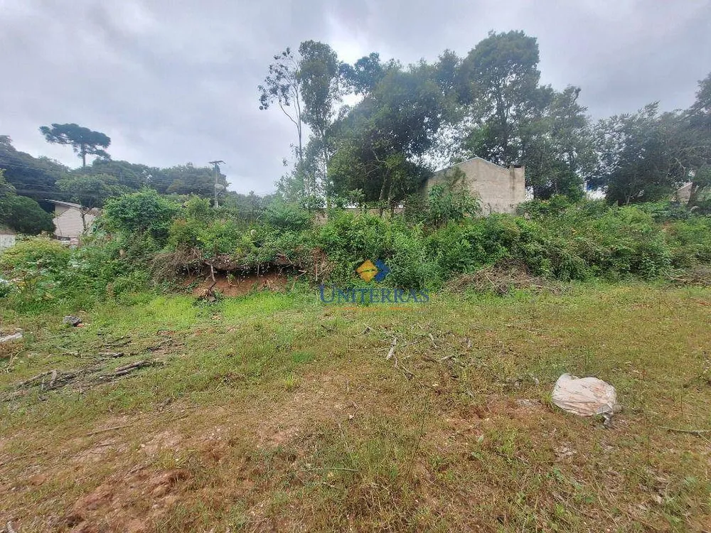 Terreno, 1521 m² - Foto 4