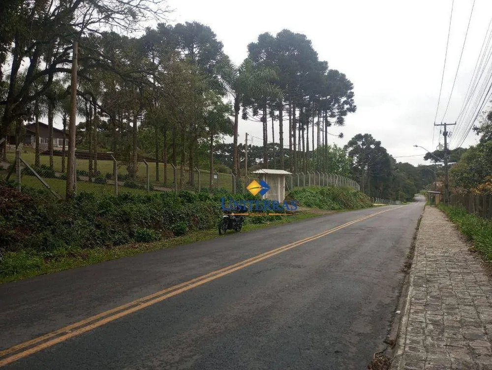 Terreno, 3 hectares - Foto 8