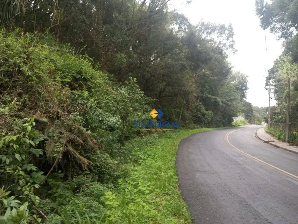 Terreno, 3 hectares - Foto 1