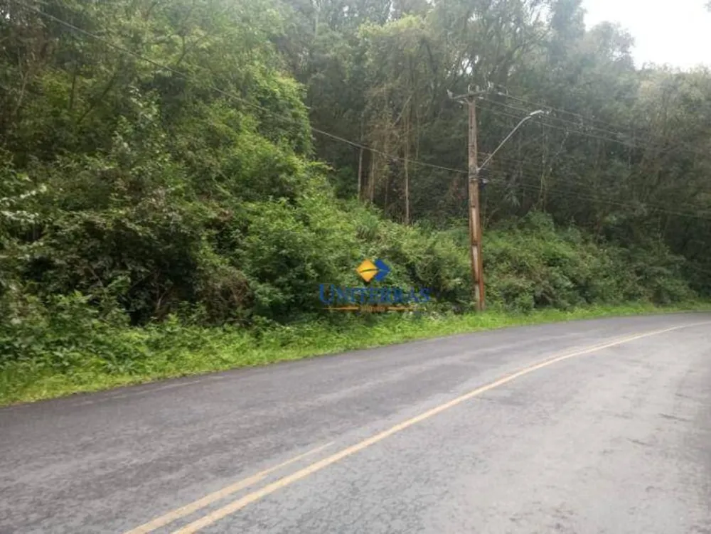 Terreno, 3 hectares - Foto 3