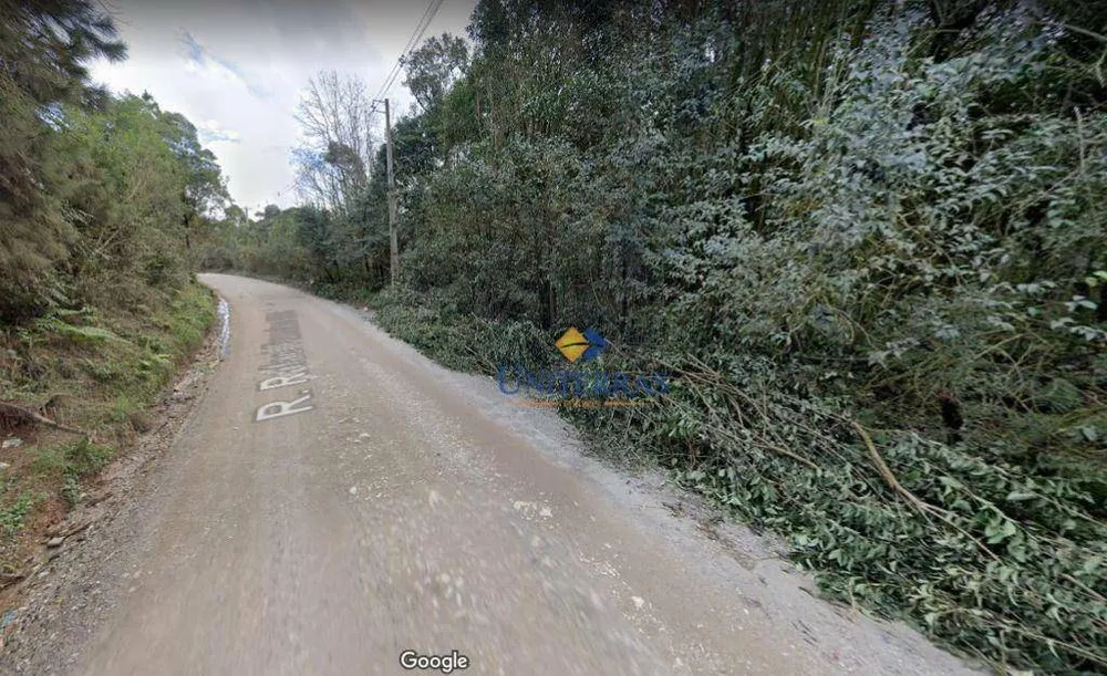 Terreno, 4 hectares - Foto 2