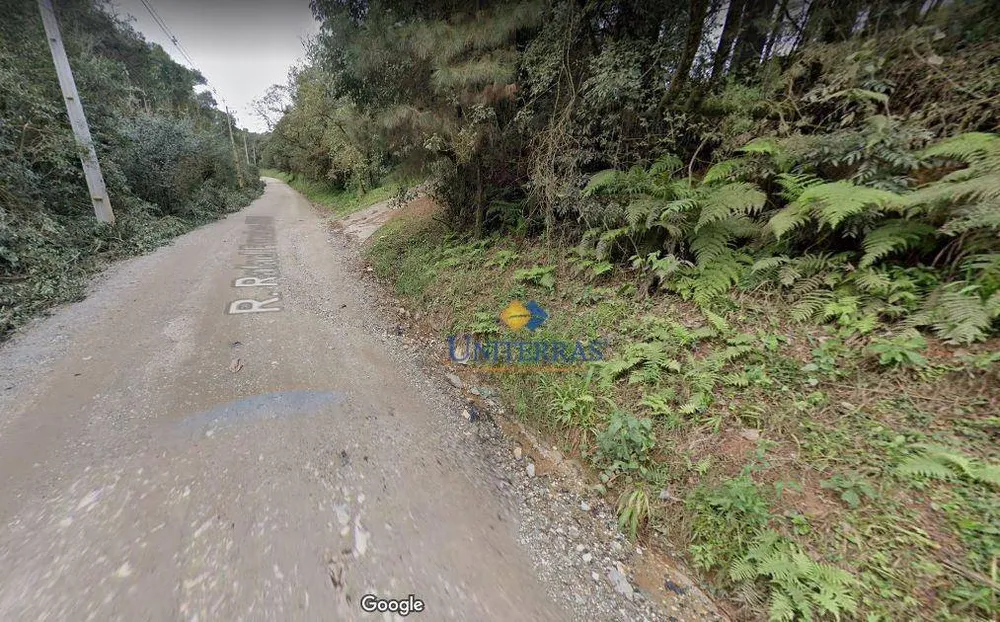 Terreno, 4 hectares - Foto 4