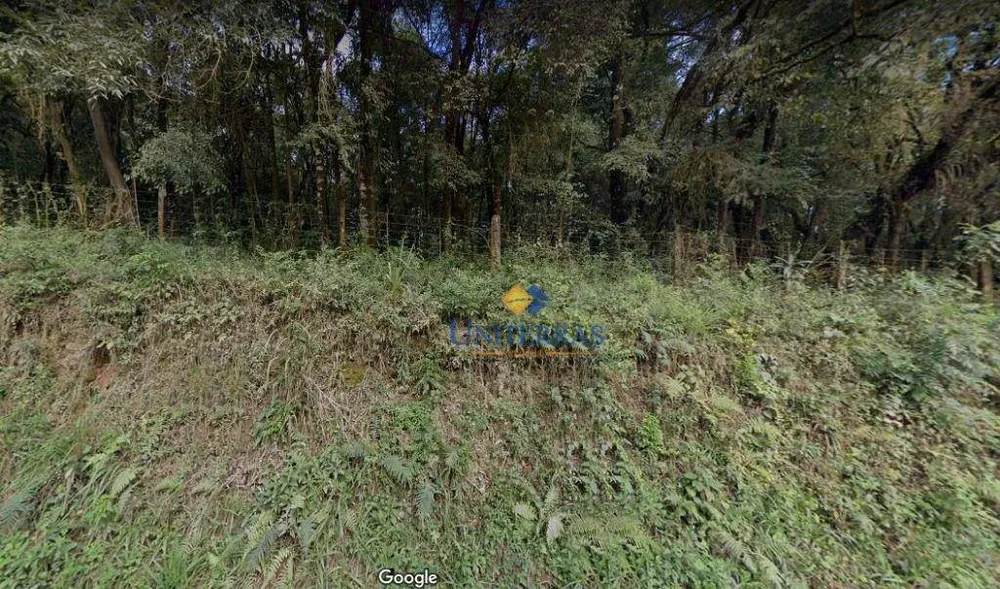 Terreno, 4 hectares - Foto 7