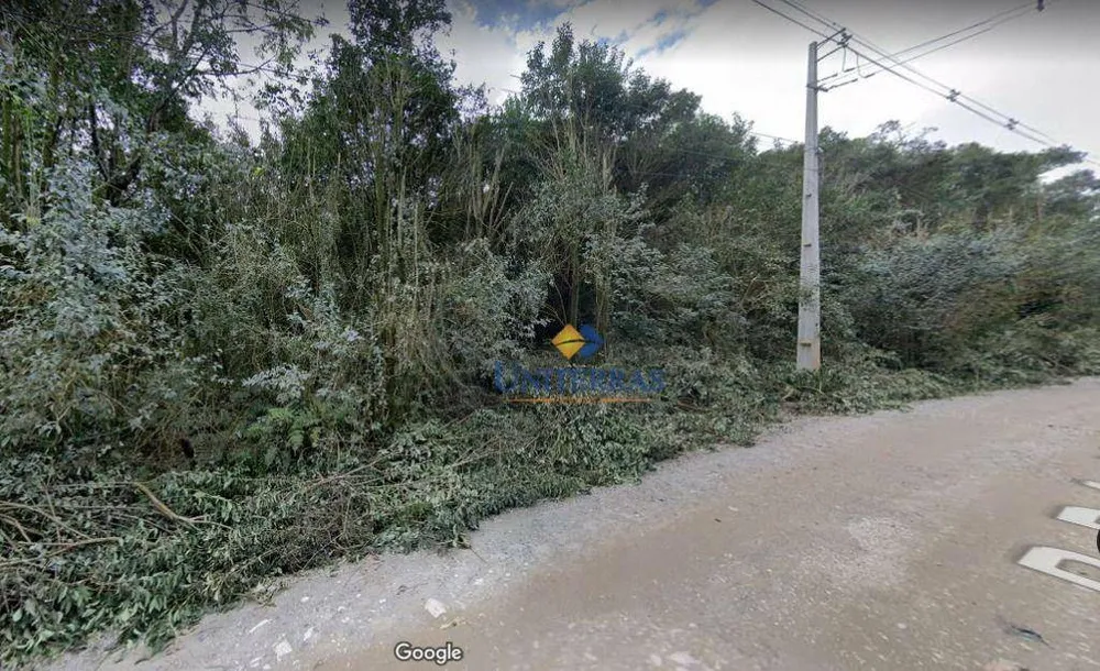 Terreno, 4 hectares - Foto 3