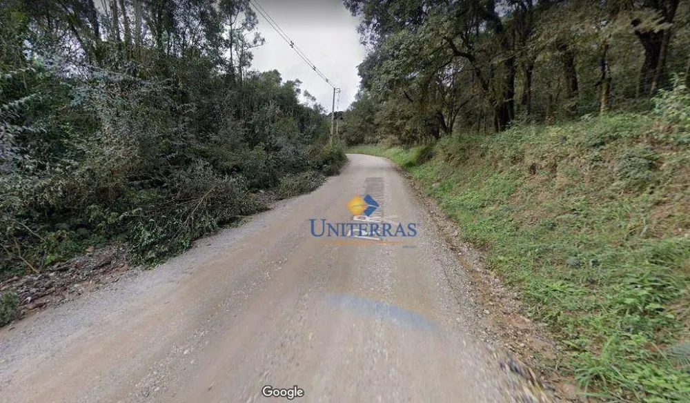 Terreno, 4 hectares - Foto 6