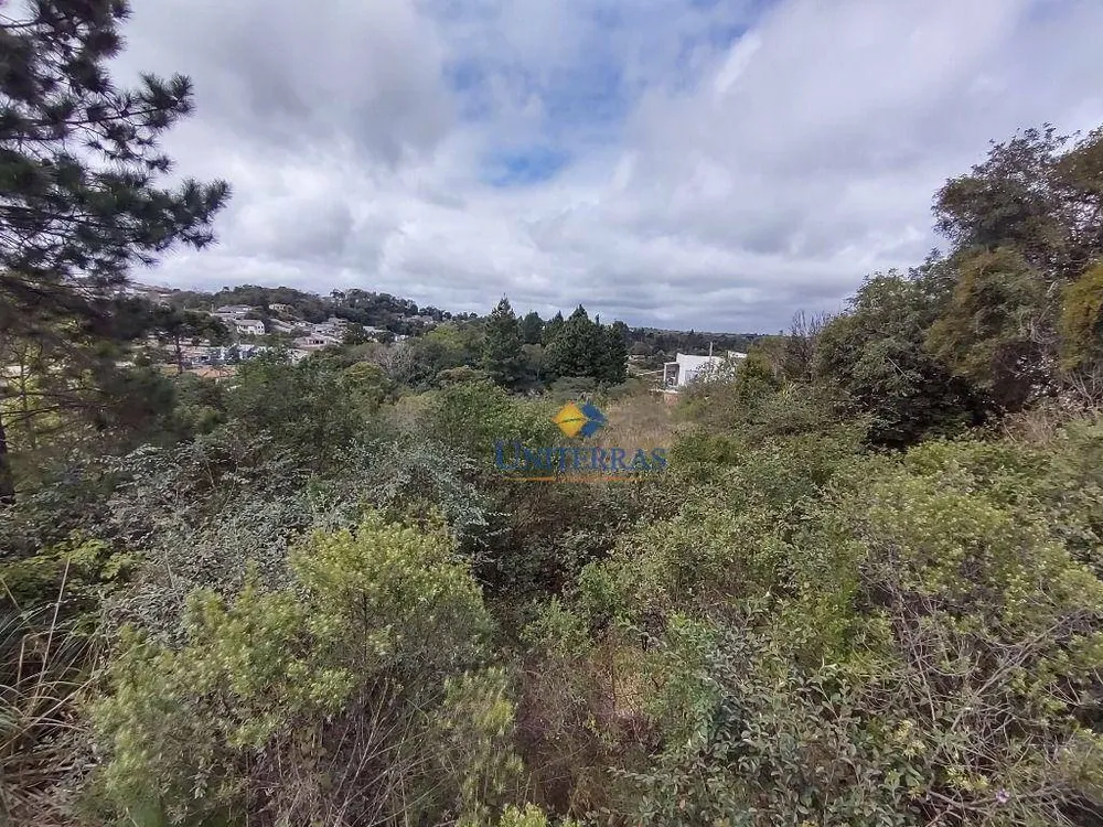 Terreno, 7862 m² - Foto 5