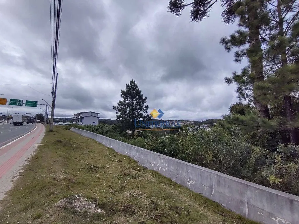 Terreno, 7862 m² - Foto 1