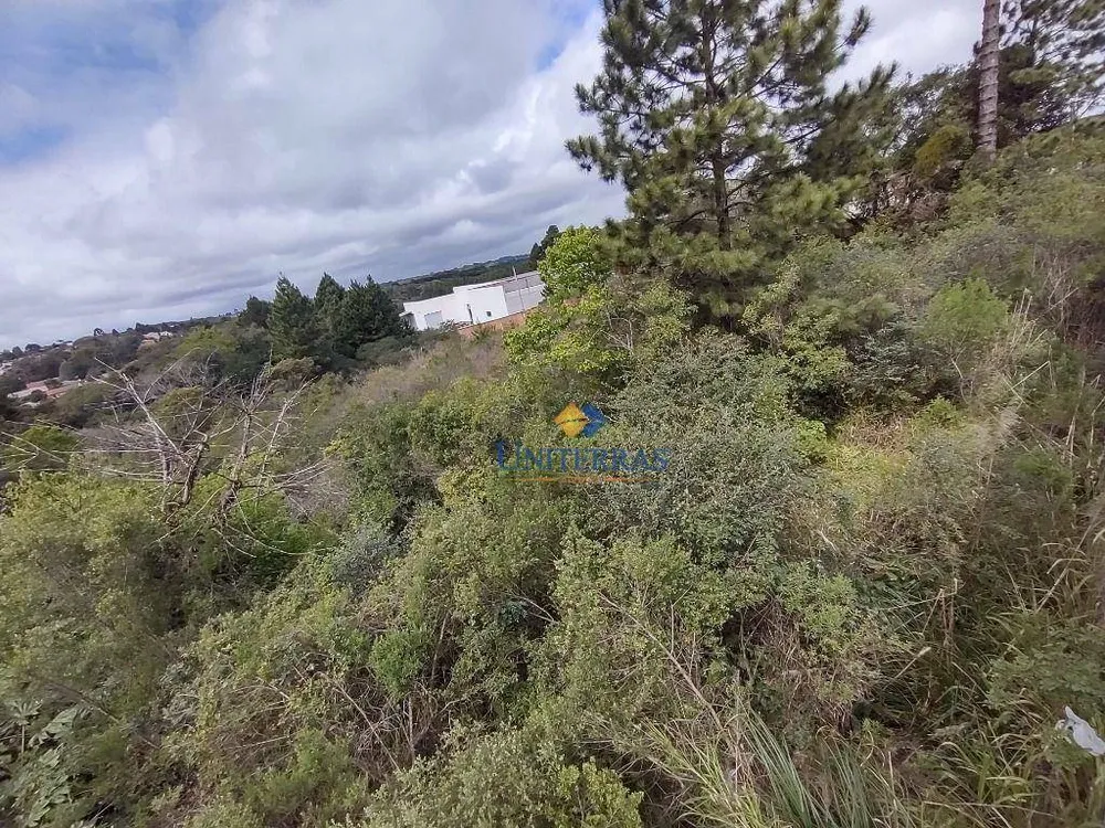 Terreno, 7862 m² - Foto 4