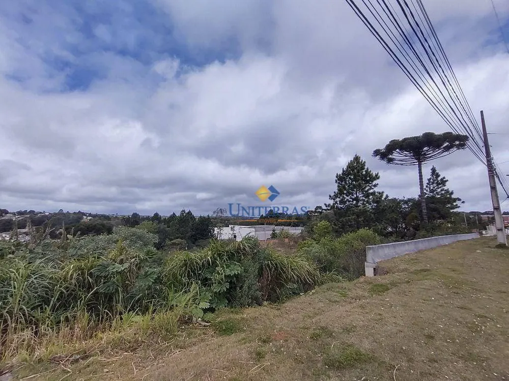 Terreno, 7862 m² - Foto 6