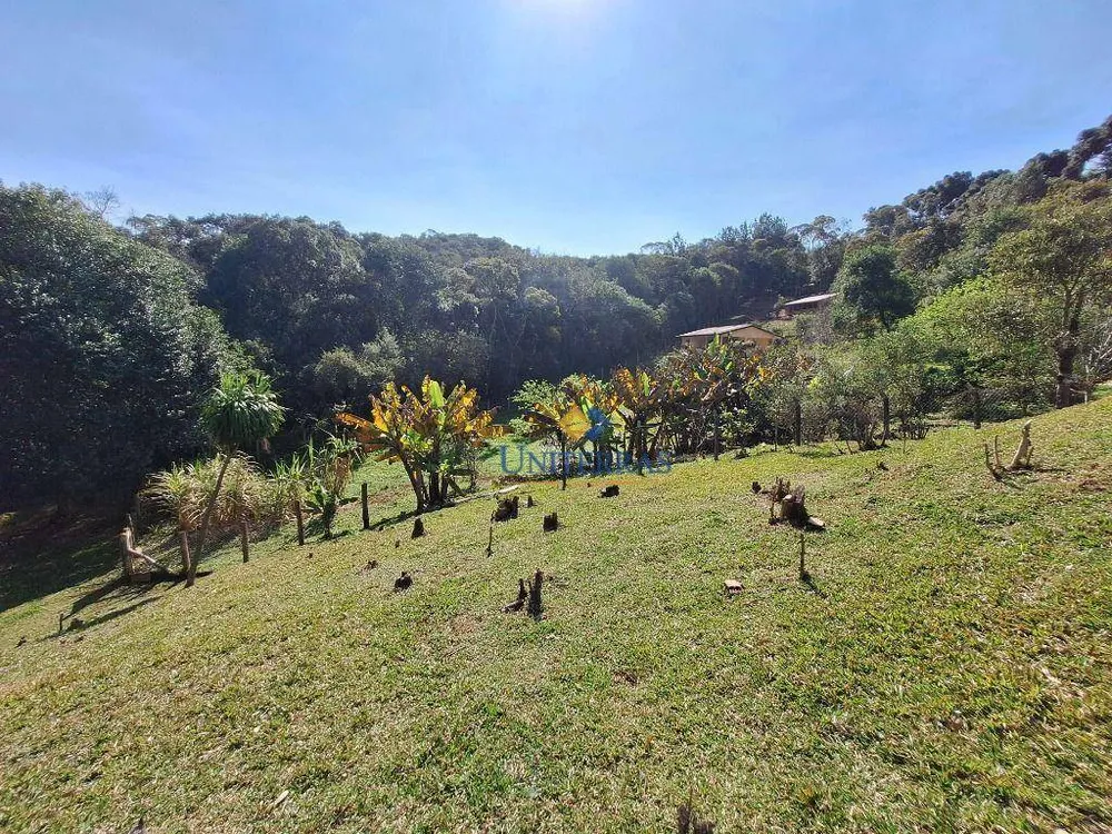 Chácara, 3 quartos, 1 hectares - Foto 7