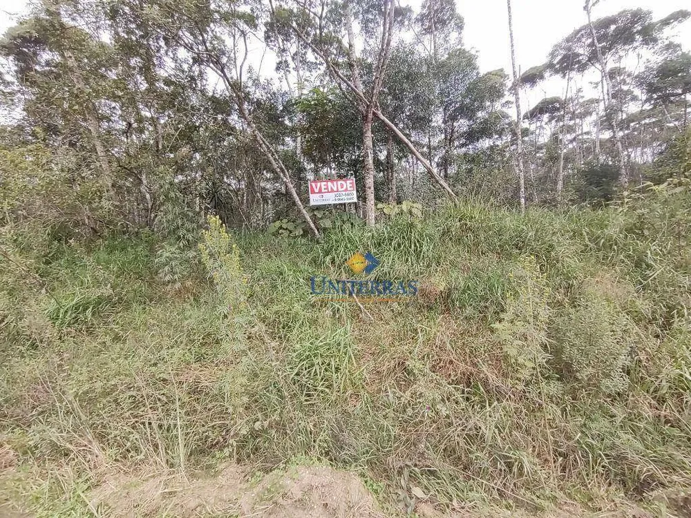 Terreno, 53 hectares - Foto 7