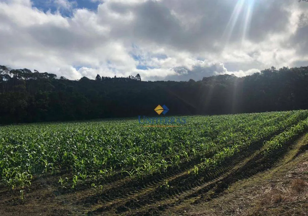 Terreno, 53 hectares - Foto 4