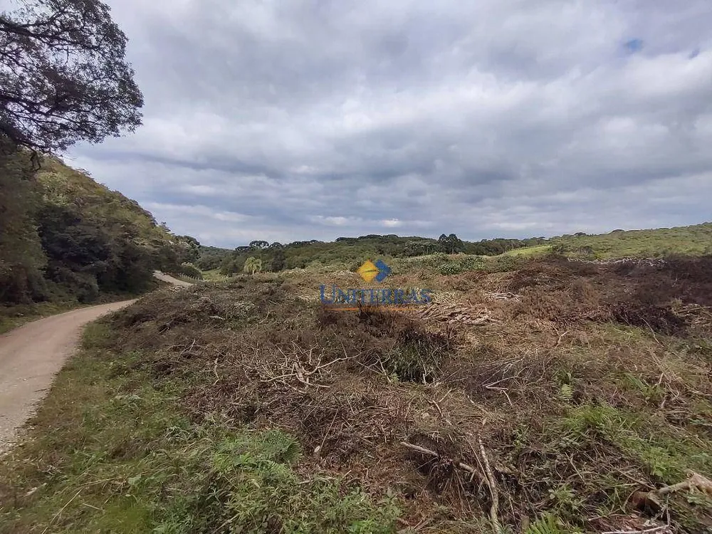 Terreno, 53 hectares - Foto 11