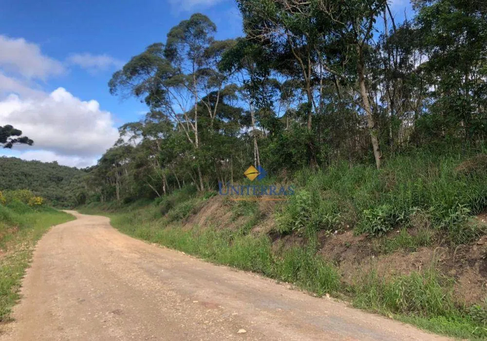 Terreno, 53 hectares - Foto 1