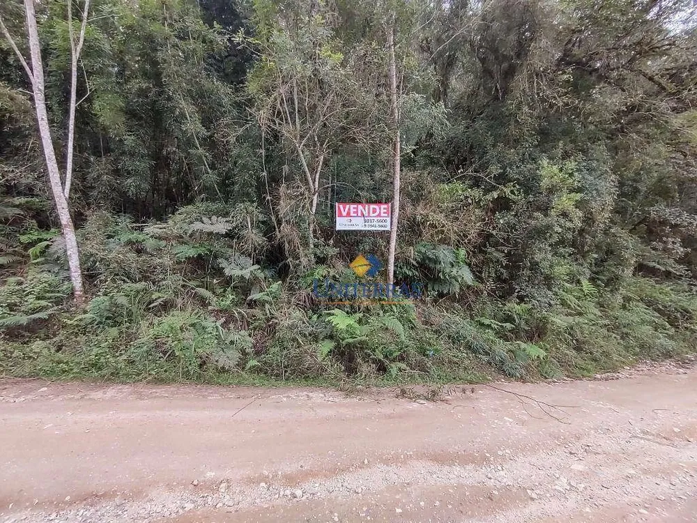 Terreno, 53 hectares - Foto 9