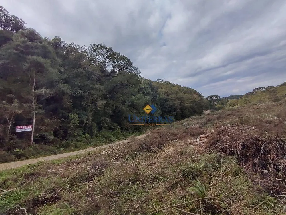 Terreno, 53 hectares - Foto 12
