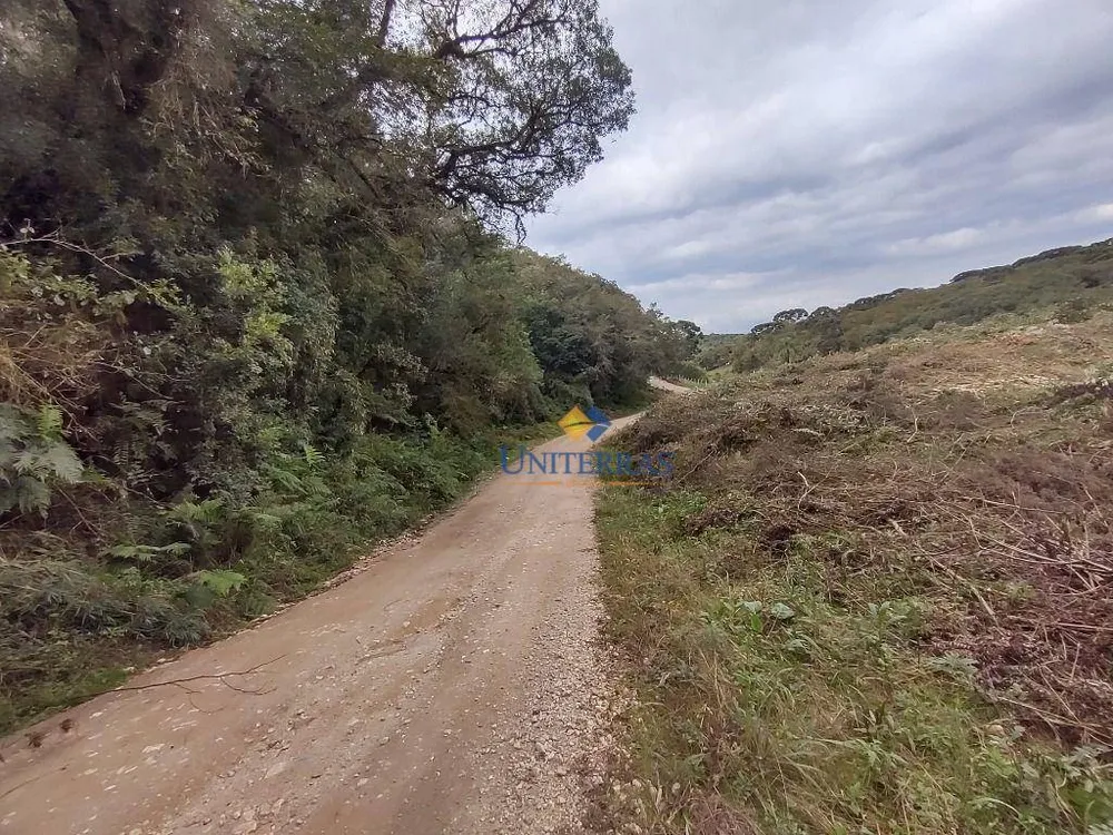 Terreno, 53 hectares - Foto 8