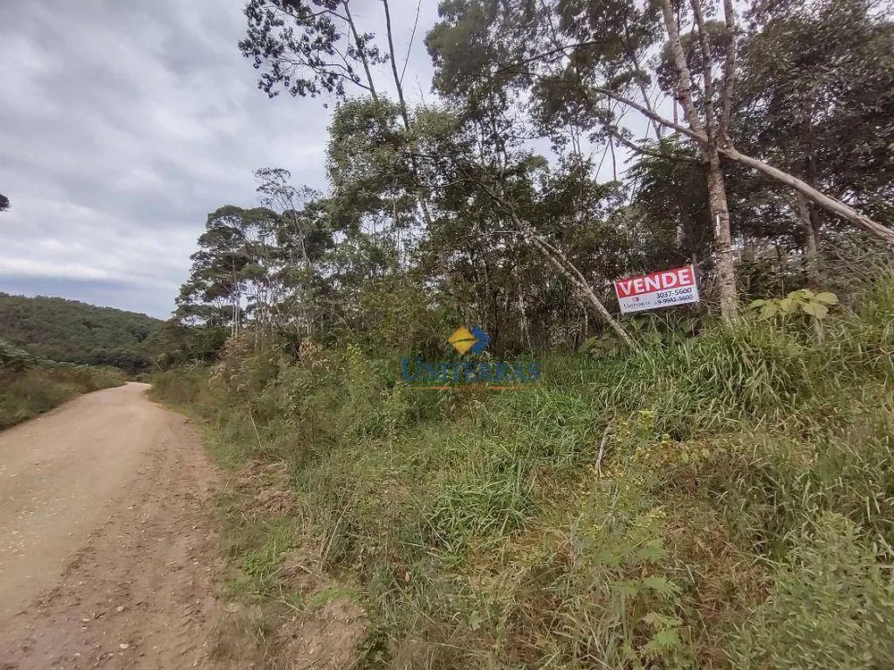 Terreno, 53 hectares - Foto 6