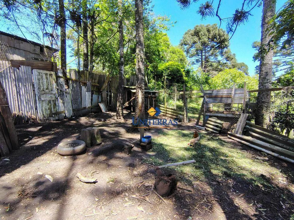 Chácara, 3 quartos, 1200 m² - Foto 6