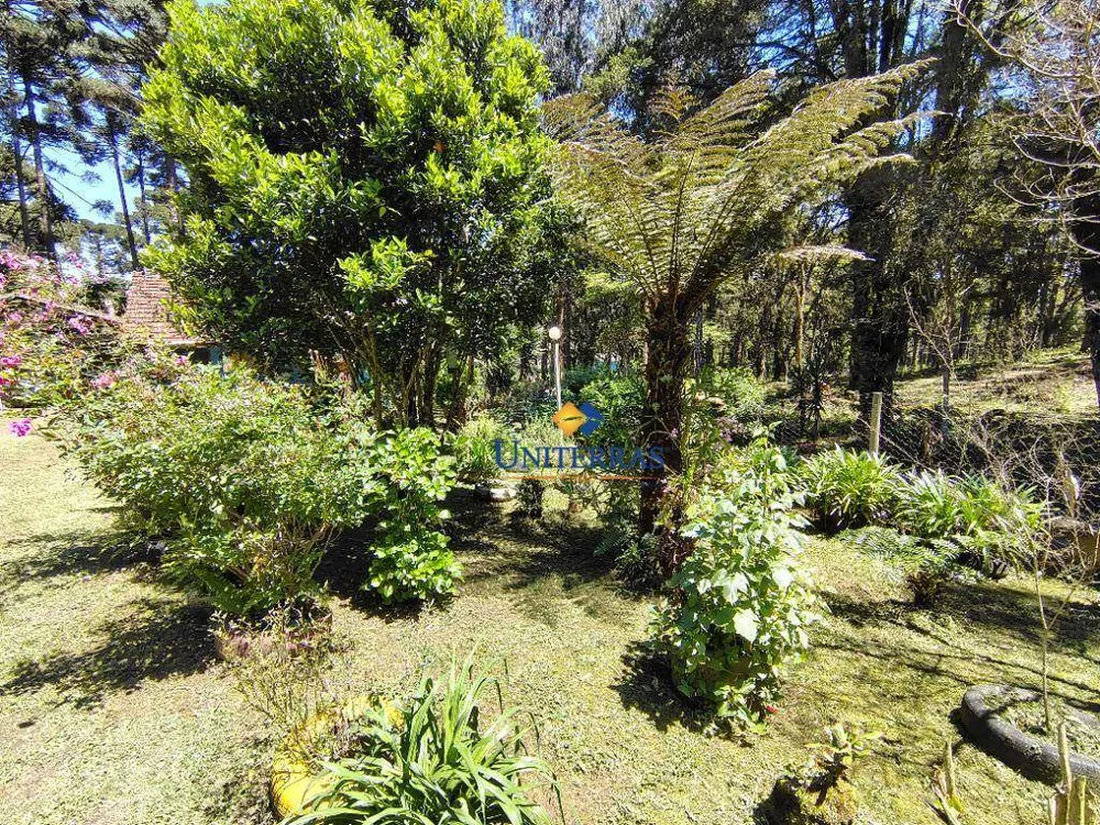 Chácara, 3 quartos, 1200 m² - Foto 3