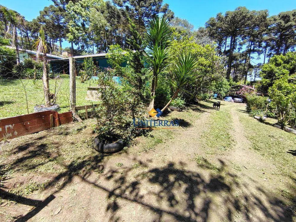 Chácara, 3 quartos, 1200 m² - Foto 2