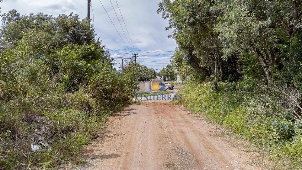 Terreno, 2 hectares - Foto 12