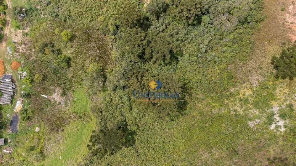 Terreno, 2 hectares - Foto 8