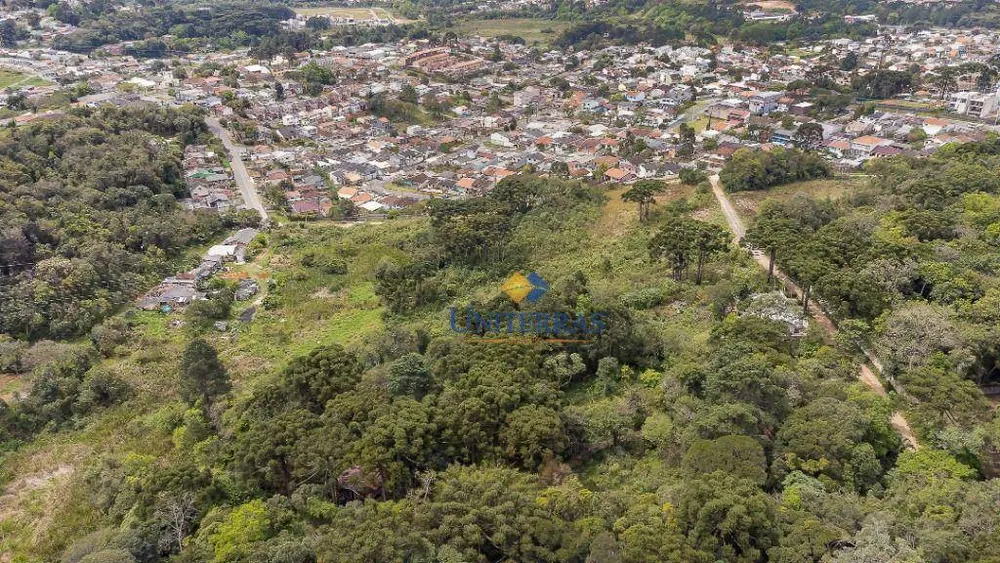 Terreno, 2 hectares - Foto 6