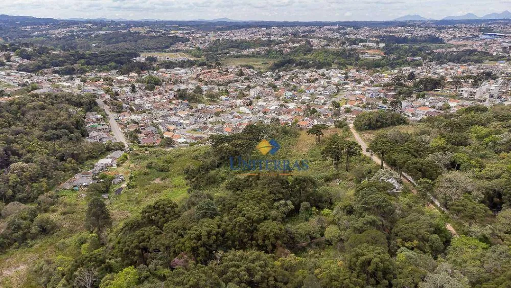 Terreno, 2 hectares - Foto 3