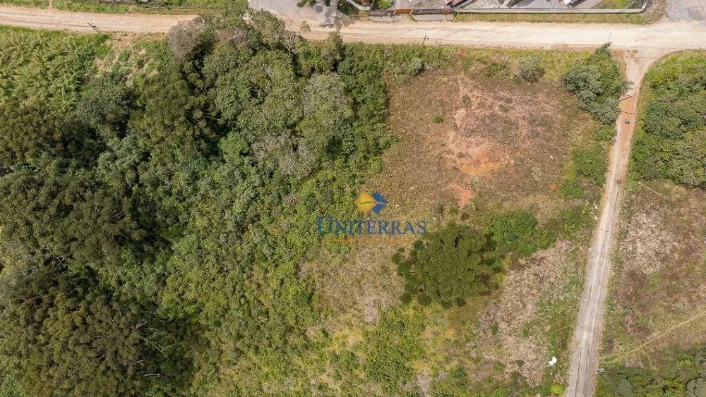 Terreno, 2 hectares - Foto 7