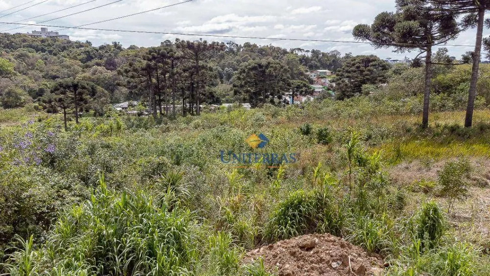 Terreno, 2 hectares - Foto 2