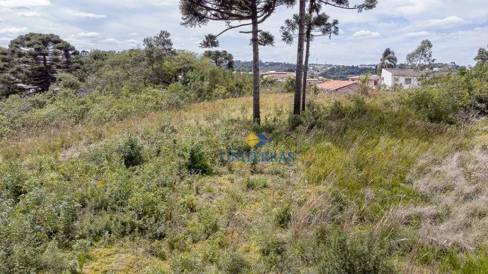 Terreno, 2 hectares - Foto 11