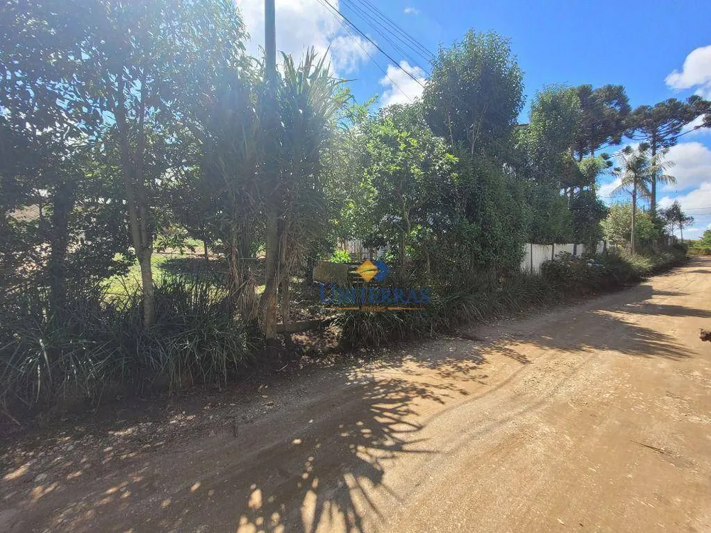 Terreno, 300 m² - Foto 6